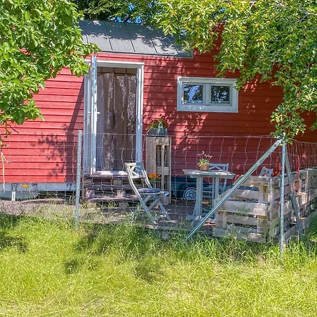 팜스테이 Tiny House Auf Der Alpaka Farm *