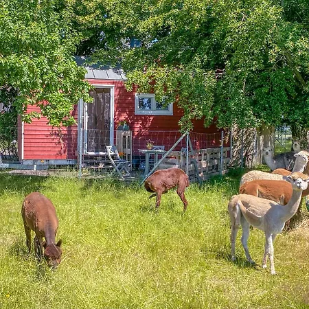 Tiny House Auf Der Alpaka Farm 팜스테이 Rubkow